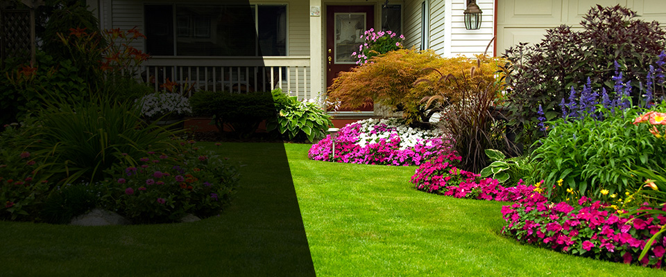 Burnsville Landscapers