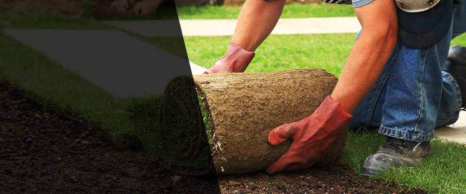 Burnsville Landscapers